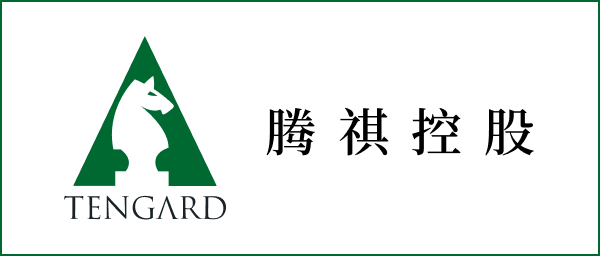腾祺控股 Tengard Holdings Limited